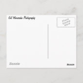 Herfsten, bevroren briefkaart (Achterkant)