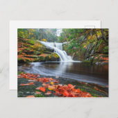 Herfsten in Herfst invoeren Briefkaart (Voorkant / Achterkant)