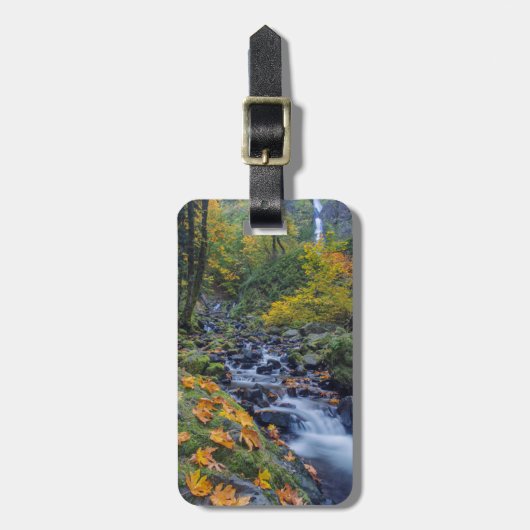 Herfsten in het najaar van de kleuren bij de aanze bagagelabel (Voorkant verticaal)