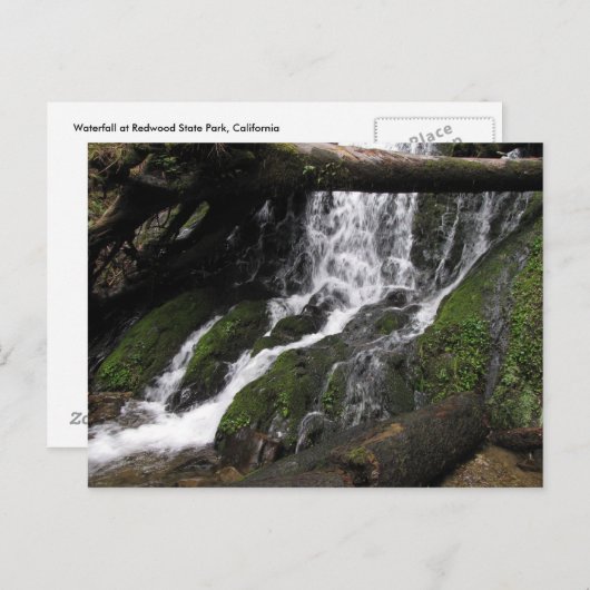 Herfsten in het Redwood State Park Briefkaart (Voorkant / Achterkant)