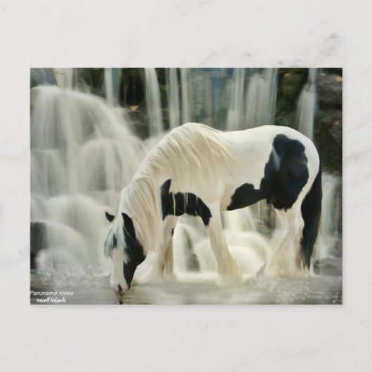 herfsten, paard, rivier, mooi uitzicht briefkaart (Voorkant)