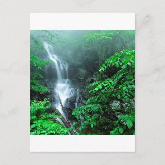 Herfsten Shenandoah, benedenloop van de Doyles Briefkaart (Voorkant)