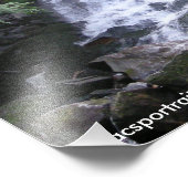 Herfsten van Alder Foto Afdruk (Hoek)