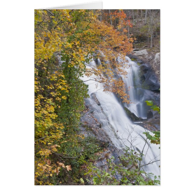 Herfsten van de Bald (Voorkant)