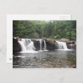 Herfsten van de Cheat Briefkaart (Voorkant / Achterkant)