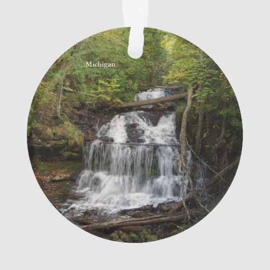 Herfsten van de wagner acrylversiering ornament (achterkant)