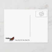 Herfsten van Eagle in Glacier National Park Briefkaart (Achterkant)