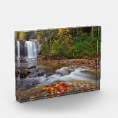 Herfsten van glas - Nationaal bos Pisgah Fotoblokken (Links)