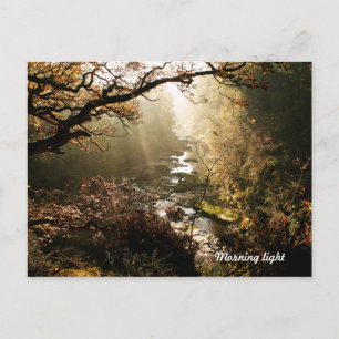 Herfsten van het landschap Linn New Lanark Scotlan Briefkaart