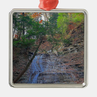 Herfsten van karnemelk Cuyahoga Nationaal Park Ohi Metalen Ornament