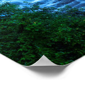 Herfsten van Roughlock Spearfish Canyon Poster (Hoek)