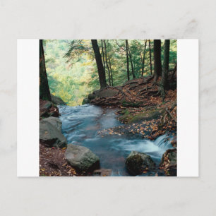 Herfsten waterkarnemelk Delaware Briefkaart
