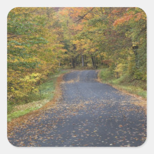 Herfstgeel langs de weg, Zuid-Vermont, VS Vierkante Sticker