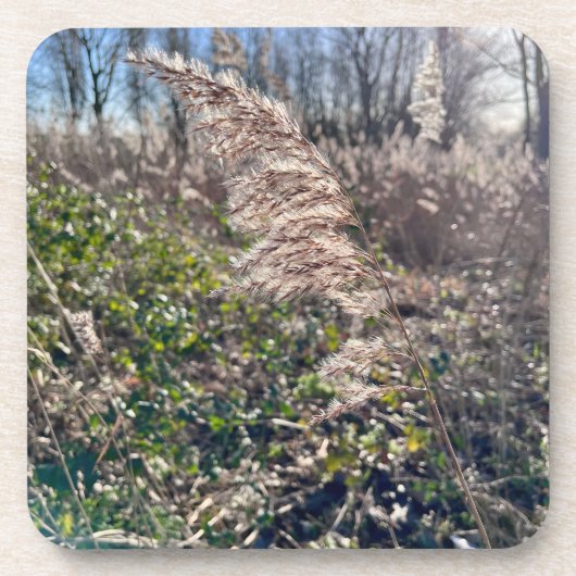 Herfstgelukzaligheid. Bier Onderzetter (Voorkant)
