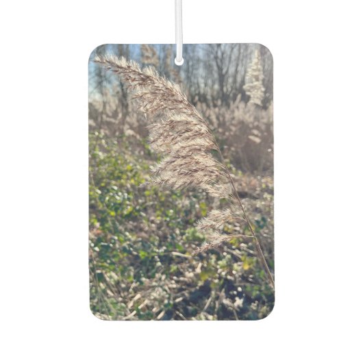 Herfstgelukzaligheid. Luchtverfrisser (Voorkant)