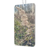 Herfstgelukzaligheid. Luchtverfrisser (Links)