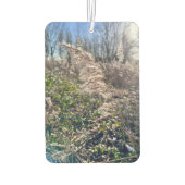 Herfstgelukzaligheid. Luchtverfrisser (Achterkant)