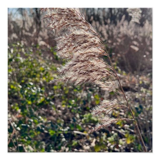 Herfstgelukzaligheid. Perfect Poster (Voorkant)