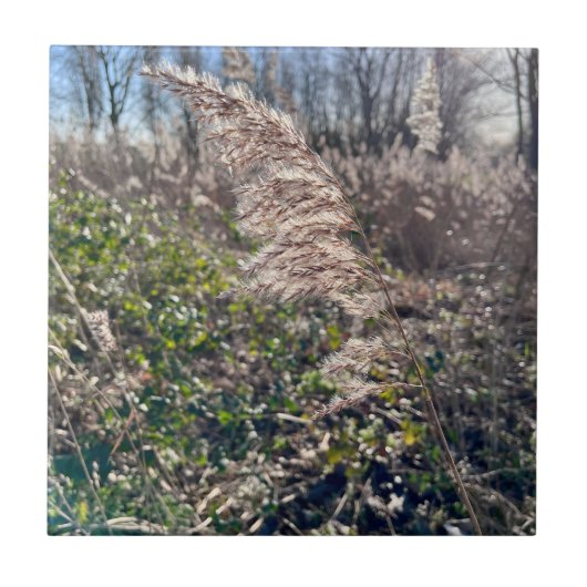 Herfstgelukzaligheid. Tegeltje (Voorkant)