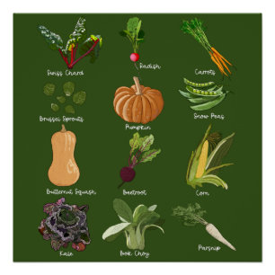 Herfstgroenten Oogst van herfstgroenten Perfect Poster