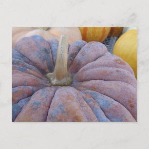 Herfstgroeten! Briefkaart