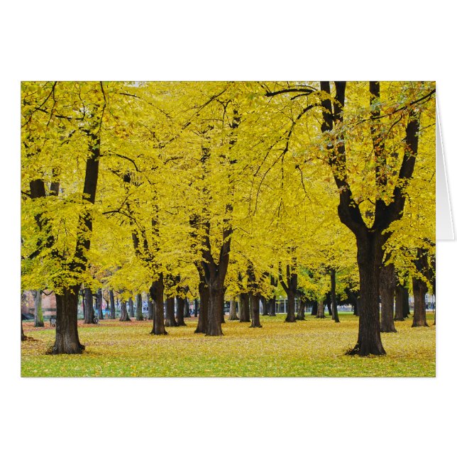 Herfstkaart (Voorkant Horizontaal)