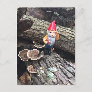 herfstkabouter briefkaart
