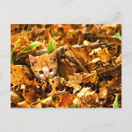 herfstkitten briefkaart