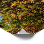 Herfstkleuren 5 Poster (Hoek)