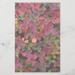 herfstkleuren briefpapier