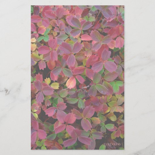 herfstkleuren briefpapier (Voorkant)