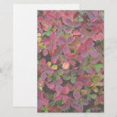 herfstkleuren briefpapier (Voorkant / Achterkant)