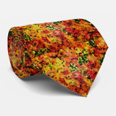 Herfstkleuren Das (Opgerold)