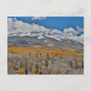 Herfstkleuren Espen & Rocky Mountains, Colorado Briefkaart