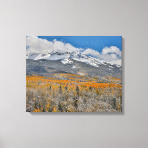 Herfstkleuren Espen & Rocky Mountains, Colorado Canvas Afdruk