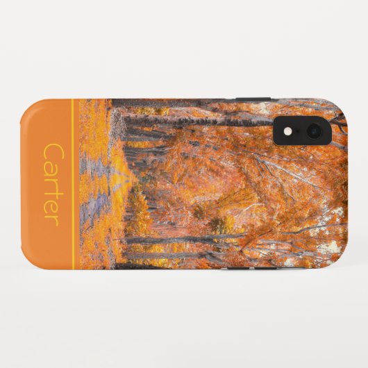 Herfstkleuren gepersonaliseerd Case-Mate iPhone case (Achterkant (horizontaal))
