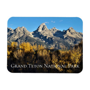 Herfstkleuren Grand Teton National Park Wyoming Magneet