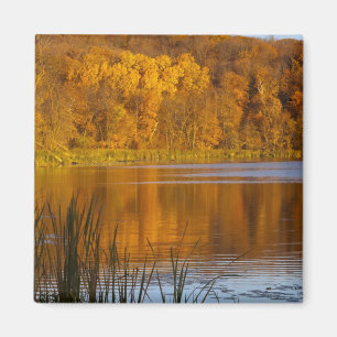 Herfstkleuren in Maplewood State Park nabij Magneet