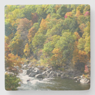Herfstkleuren in Ohiopyle State Park Stenen Onderzetter