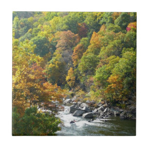 Herfstkleuren in Ohiopyle State Park Tegeltje