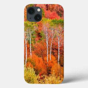 Herfstkleuren in Rocky Mountains, Wyoming, Verenig iPhone 13 Hoesje