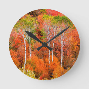 Herfstkleuren in Rocky Mountains, Wyoming, Verenig Ronde Klok
