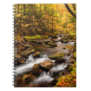 Herfstkleuren Jefferson Brook White Mountains Notitieboek