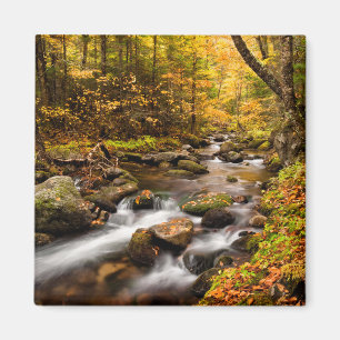 Herfstkleuren Jefferson Brook Witte Bergen Magneet