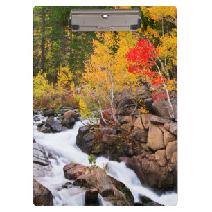 Herfstkleuren langs Bishop Creek, CA Klembord