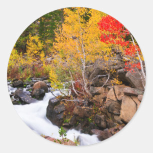Herfstkleuren langs Bishop Creek, CA Ronde Sticker