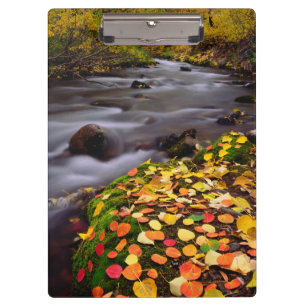 Herfstkleuren langs McGee Creek Klembord