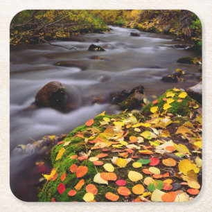 Herfstkleuren langs McGee Creek Vierkante Kartonnen Onderzetter