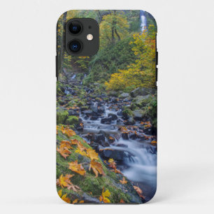 Herfstkleuren langs Starvation Creek Falls iPhone 11 Hoesje