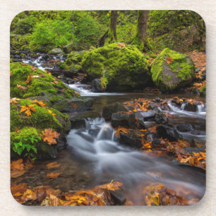 Herfstkleuren langs Starvation Creek Falls Drankjes Onderzetter